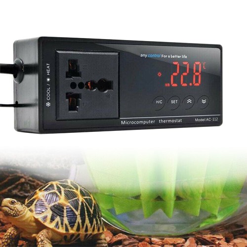 For lizard digital - for,