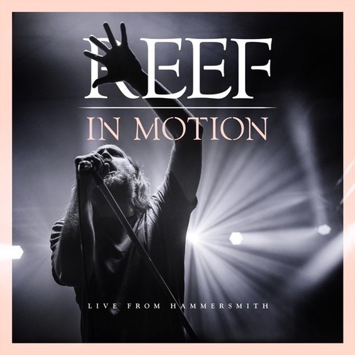 Reef motion live - reef,