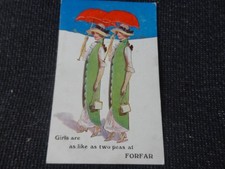 Two Peas at Forfar Comic