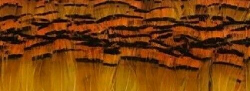 Fly tying golden - tying,