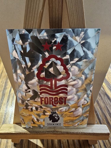 Panini premier league 2024 - league,