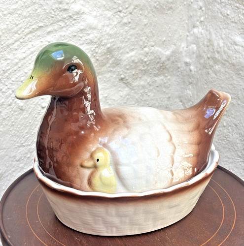 Duck chick egg - chick,