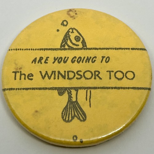 Windsor safari park - windsor,