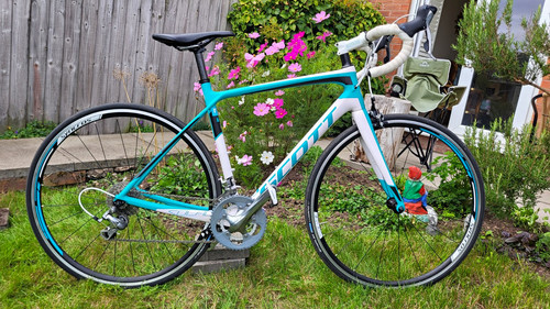51cm scott contessa - 51cm,