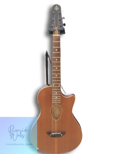 Esp bambooinn acoustic - esp,