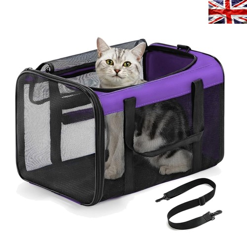 Purple airline approved cat - approved,