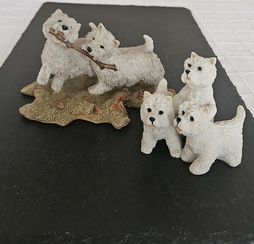West highland terrier - west,
