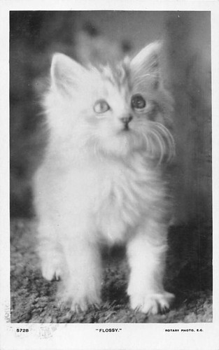 Rotary photographic postcard - rotary,