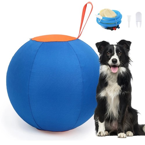 Dogs herding ball horse - dogs,