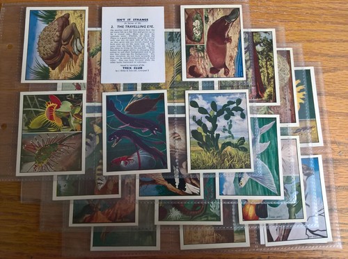 Bibby trade cards - (trex),
