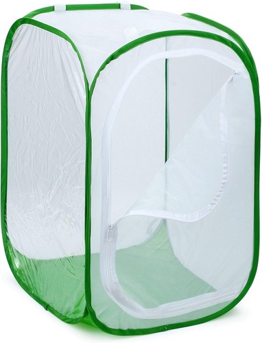 Inch large monarch - 36,