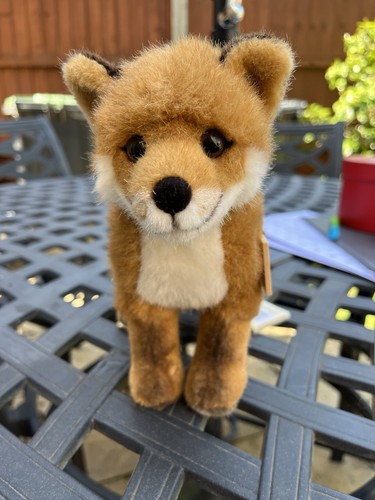 Kosen fox cub - kosen,