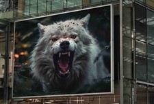 WILD WOLF GROWL POSTER NATURE