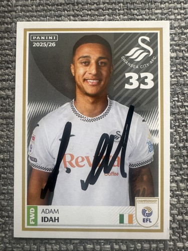 Swansea city adam - swansea, idah