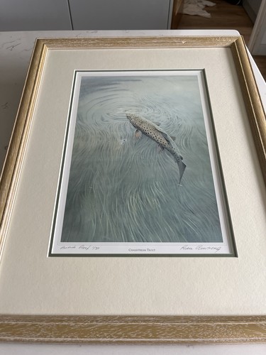 Chalkstream trout fishing - trout,