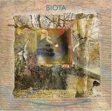 Half A True Day by Biota | CD