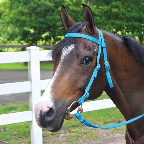 Jeffers equine western nylon - jeffers,
