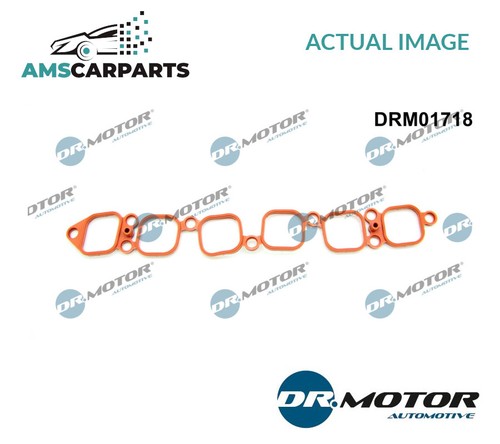 Intake manifold gasket - intake,