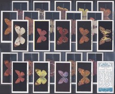 PHILLIPS-FULL SET- BRITISH BUTTERFLIES 1927 (LIGHT BLUE BACK 25 CARDS)