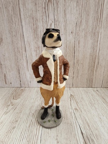 Country artists meerkat - country,