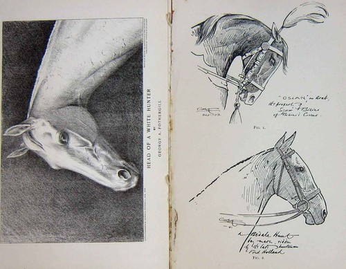 Original old antique - antique, print