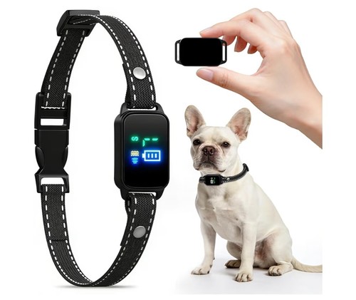 Bark collar for small - bark, medium