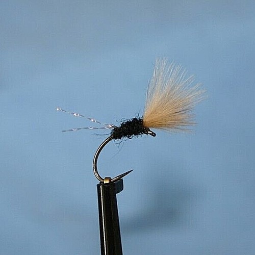 Sparkle cdc emerger trout - sparkle,