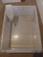 Quality Lab Rodent Breeding