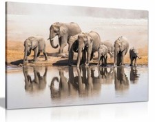 Family Of African Elephants