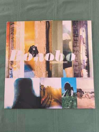 Animal magic bonobo 2000 - animal, –