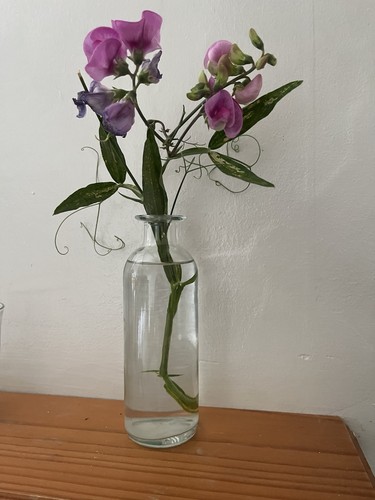 Vintage slender tall bud vase - slender,