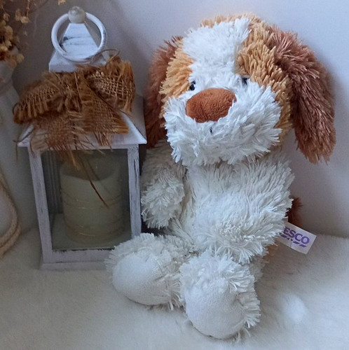 Cute tesco purple tag - purple, dog