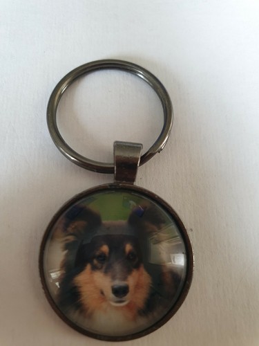 Miniature collie dog keyring - dog,