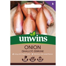 Onion (Shallot) Zebrune |