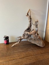 Driftwood Piece  heavy  tree