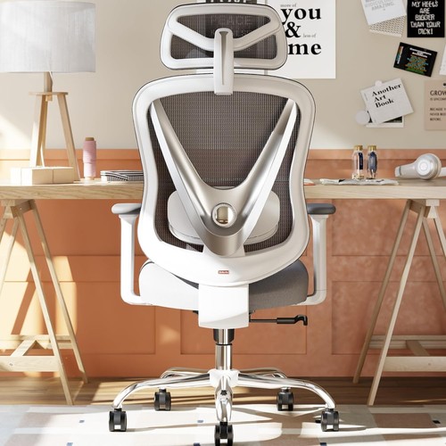 Holludle ergonomic office - holludle,