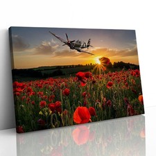 Poppy field spitfire - poppy,