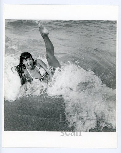 Original bunny yeager - bunny,