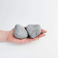 Garden Stones Grey Fish