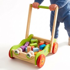 Baby Wooden Walker & Bricks