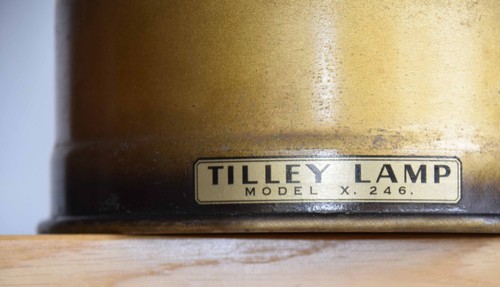 Tilley metallic gold - metallic,
