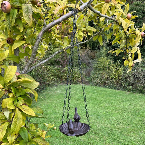 Cast iron hanging - iron, wild