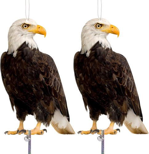 Kungfu mall hawk bird scarer - kungfu,