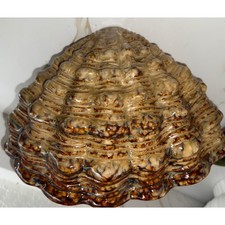 Vintage Beswick Majolica