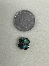 JHB Beautiful PAUA SHELL