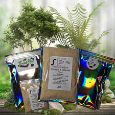 Millipede, Isopod & Springtail