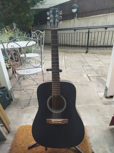 Norman b18 acoustic guitar - b18,