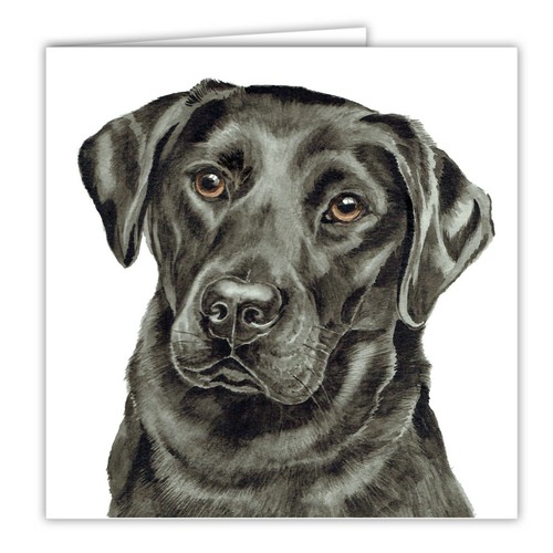 Black labrador greetings card - labrador,