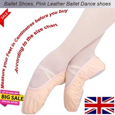 Ballet Dance Shoes Pink