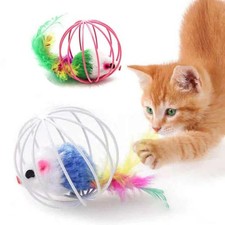 Indoor Play Interactive Cat